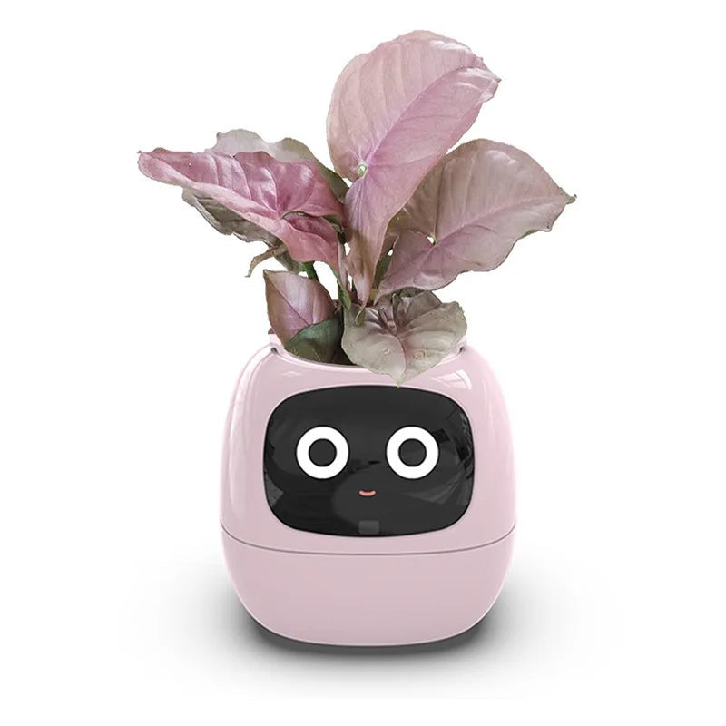 Smart Interactive Planter with Digital Photo Frame and Plant Care