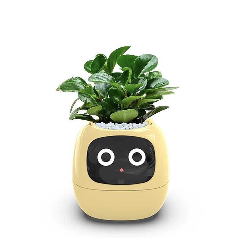 Smart Interactive Planter with Digital Photo Frame and Plant Care