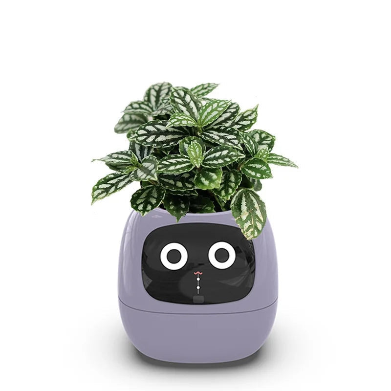 Smart Interactive Planter with Digital Photo Frame and Plant Care