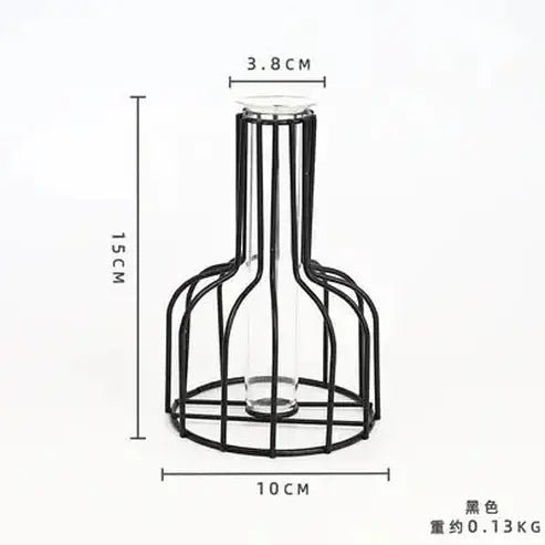 Elegant Nordic Iron Golden Hydroponic Vase