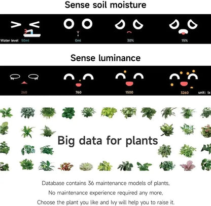 Smart Interactive Planter with Digital Photo Frame and Plant Care