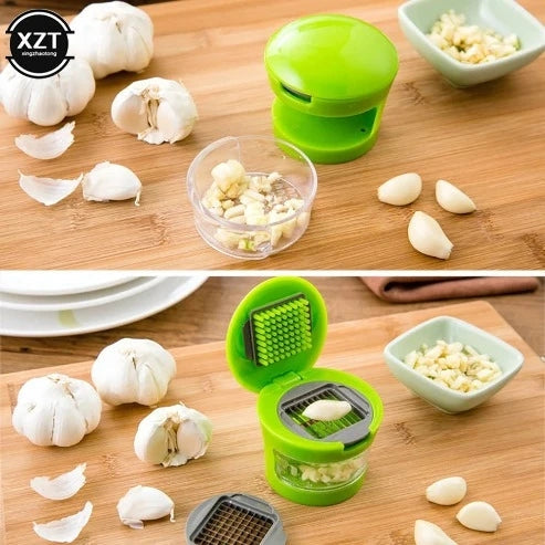 Stainless Steel Manual Mincer Garlic Press