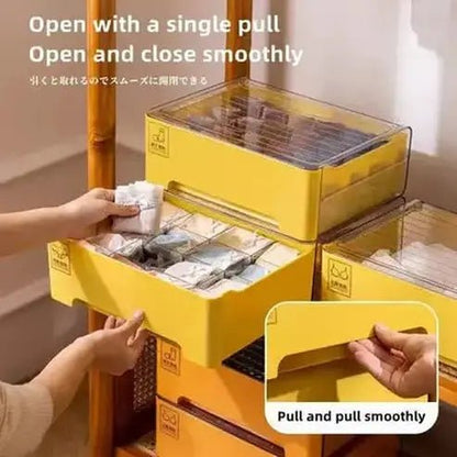 Underwear Storage Box Clothing & Closet Storage Sturdy Underwear Storage Box with Lid – Dondepiso